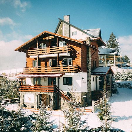 Vila Stefana Păltiniş Exteriör bild