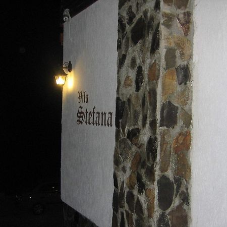Vila Stefana Păltiniş Exteriör bild