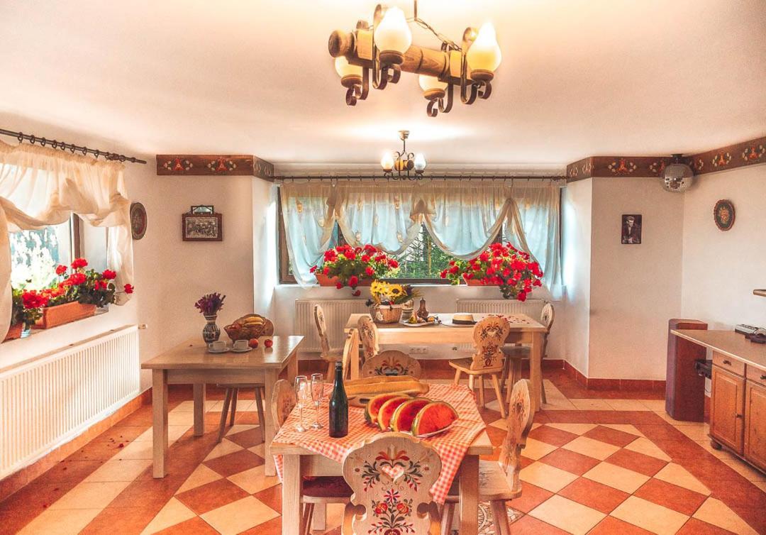 Vila Stefana Păltiniş Exteriör bild