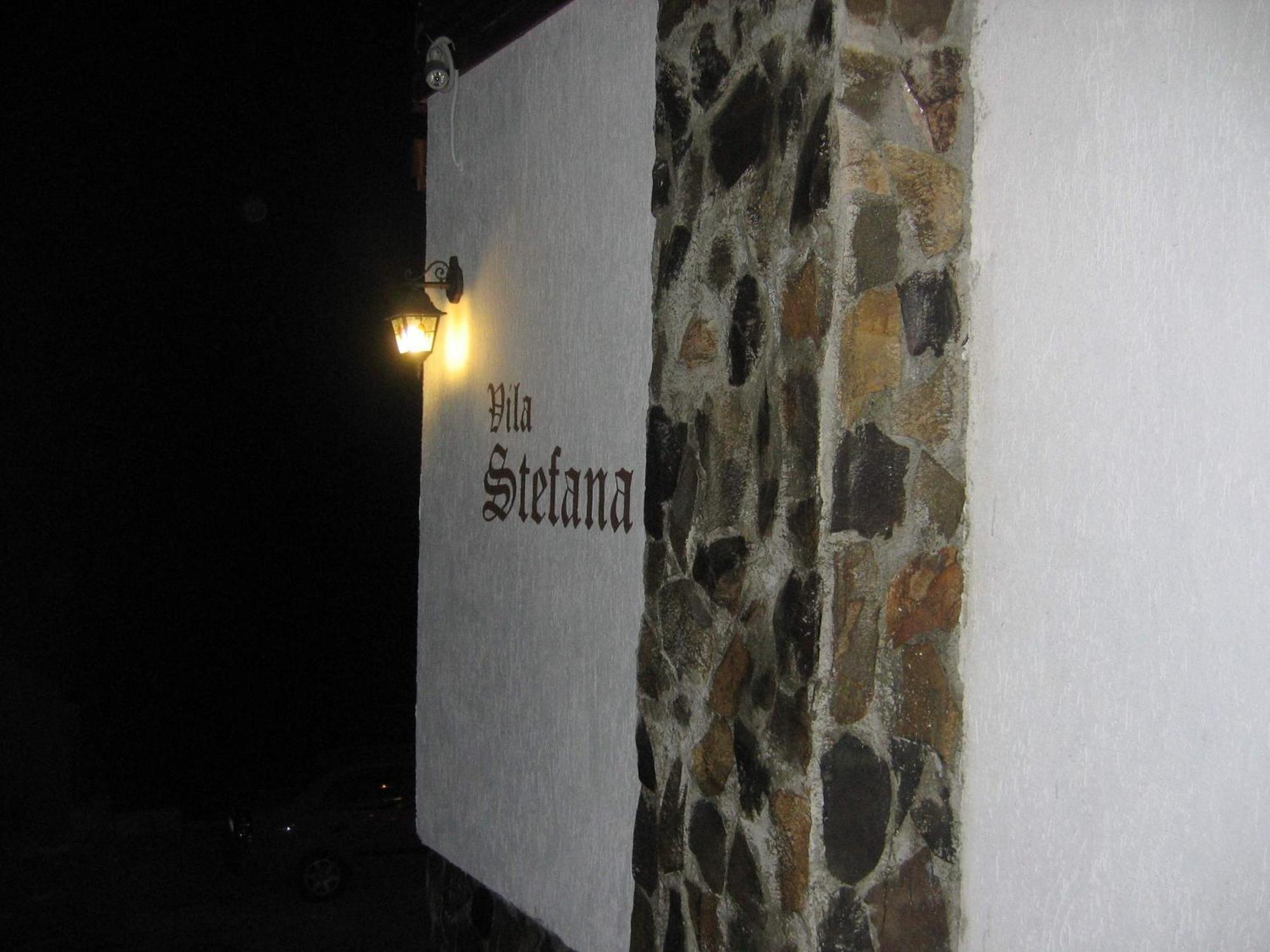 Vila Stefana Păltiniş Exteriör bild
