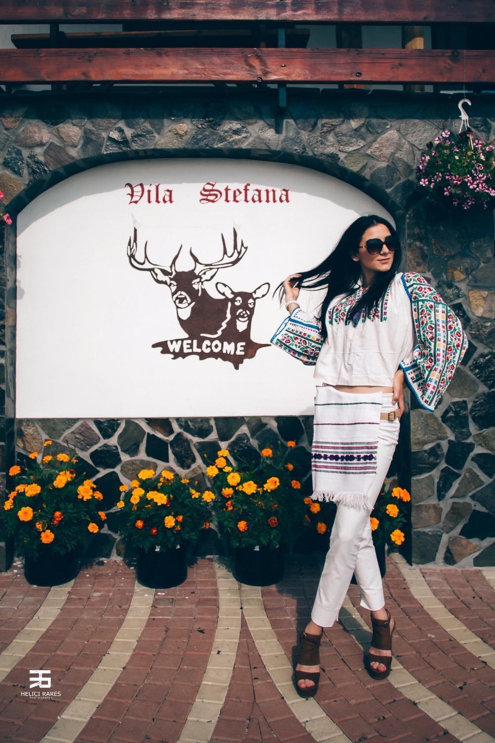 Vila Stefana Păltiniş Exteriör bild